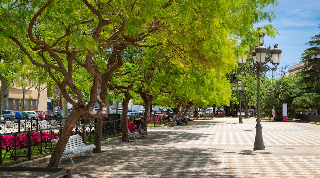 Plaza de Espana showing a park