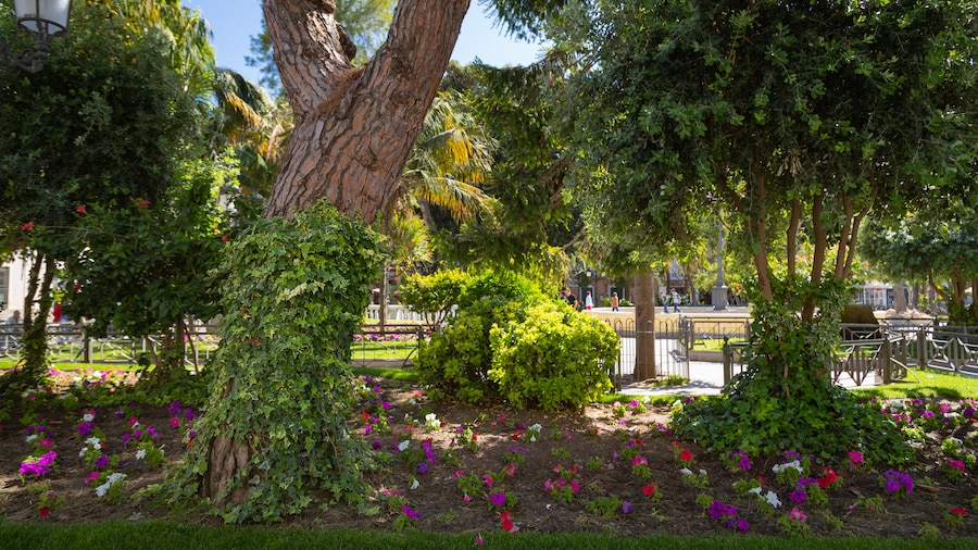 Plaza de Mina