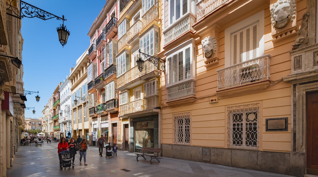 Universidade de Cadiz