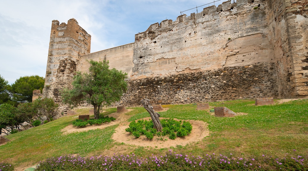 Sohail Castle which includes heritage elements, a castle and wildflowers