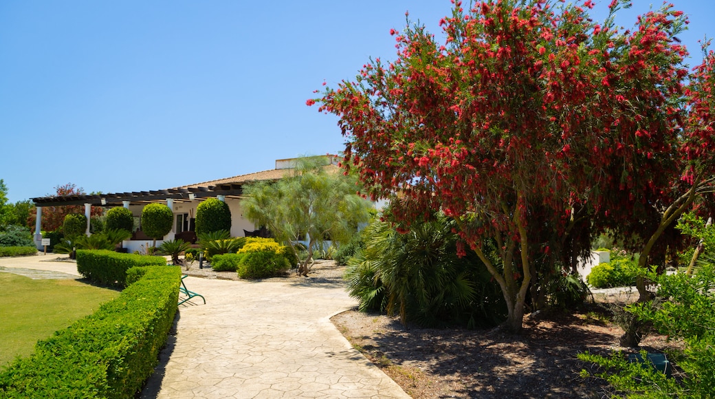 Club de Golf La Estancia