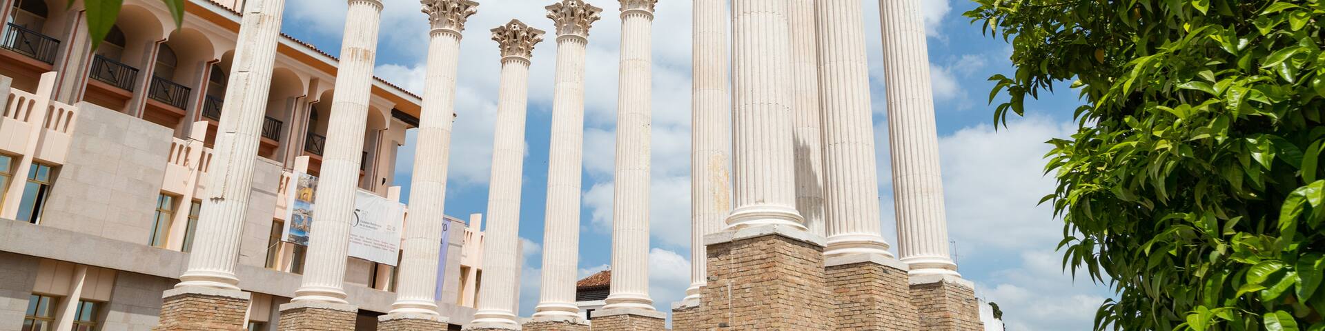 Roman Temple showing heritage elements, a monument and building ruins
