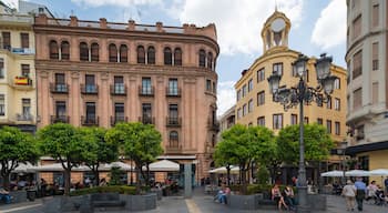 Tendillas Plaza showing a city