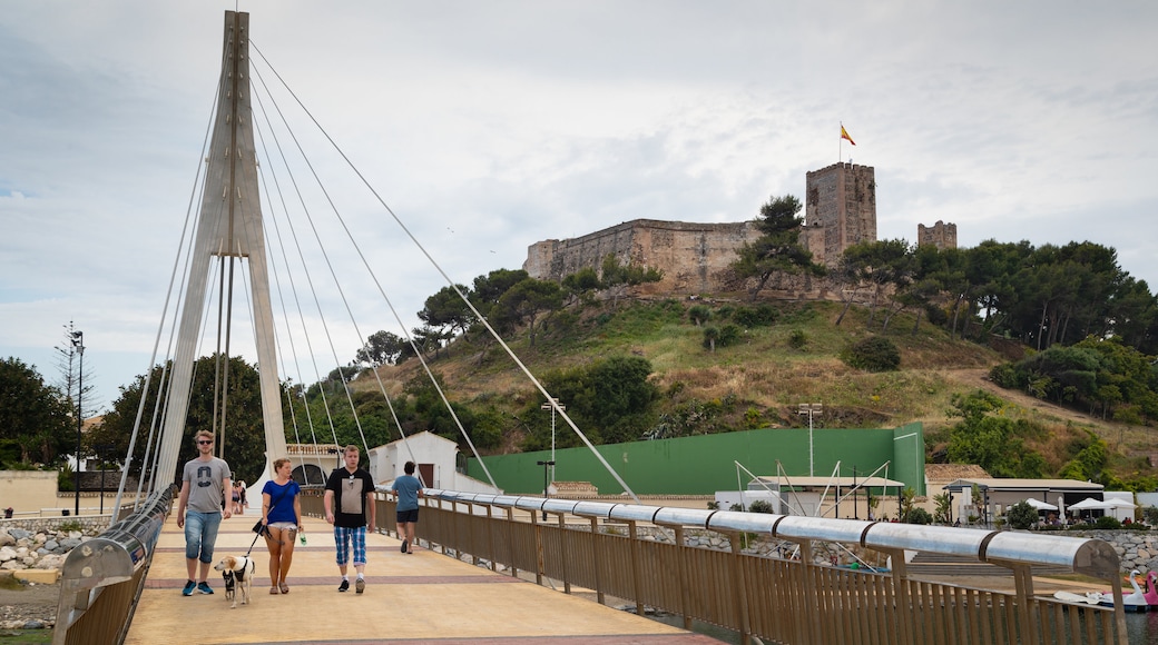 El Castillo Beach showing cuddly or friendly animals and a bridge as well as a small group of people