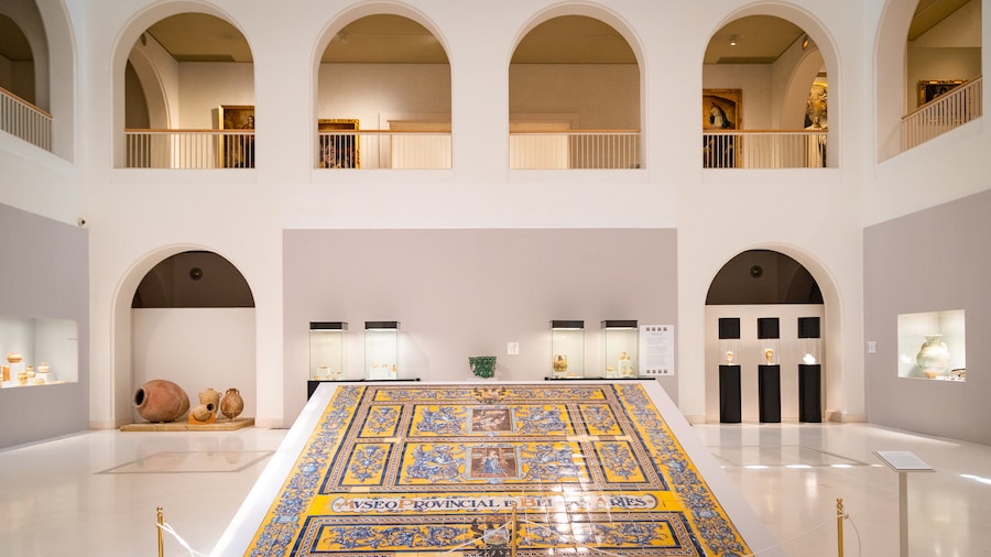 Museum of Cadiz