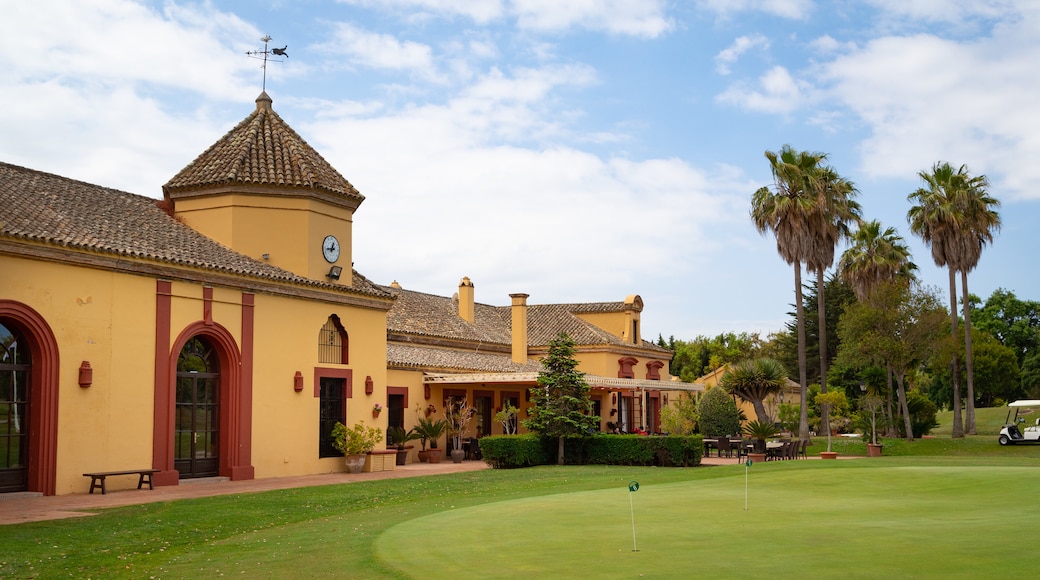 San Roque Golf featuring golf