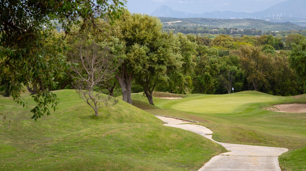 San Roque Golf showing golf