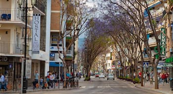 Fuengirola City Centre