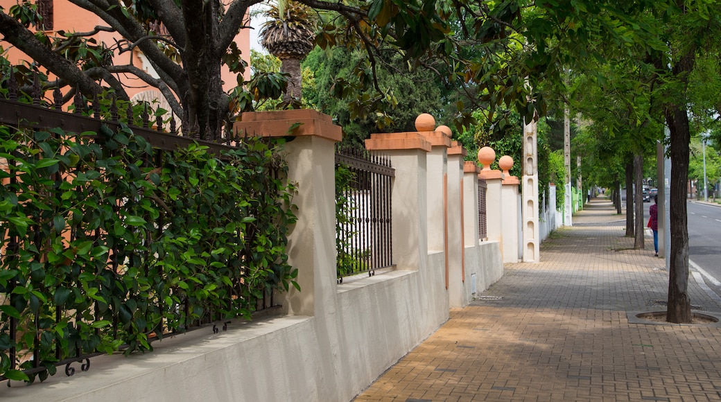 Zona de la Avenida del Brillante