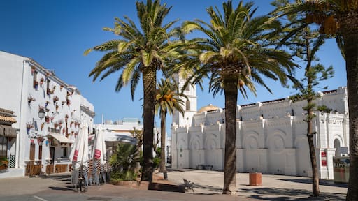 Conil de la Frontera