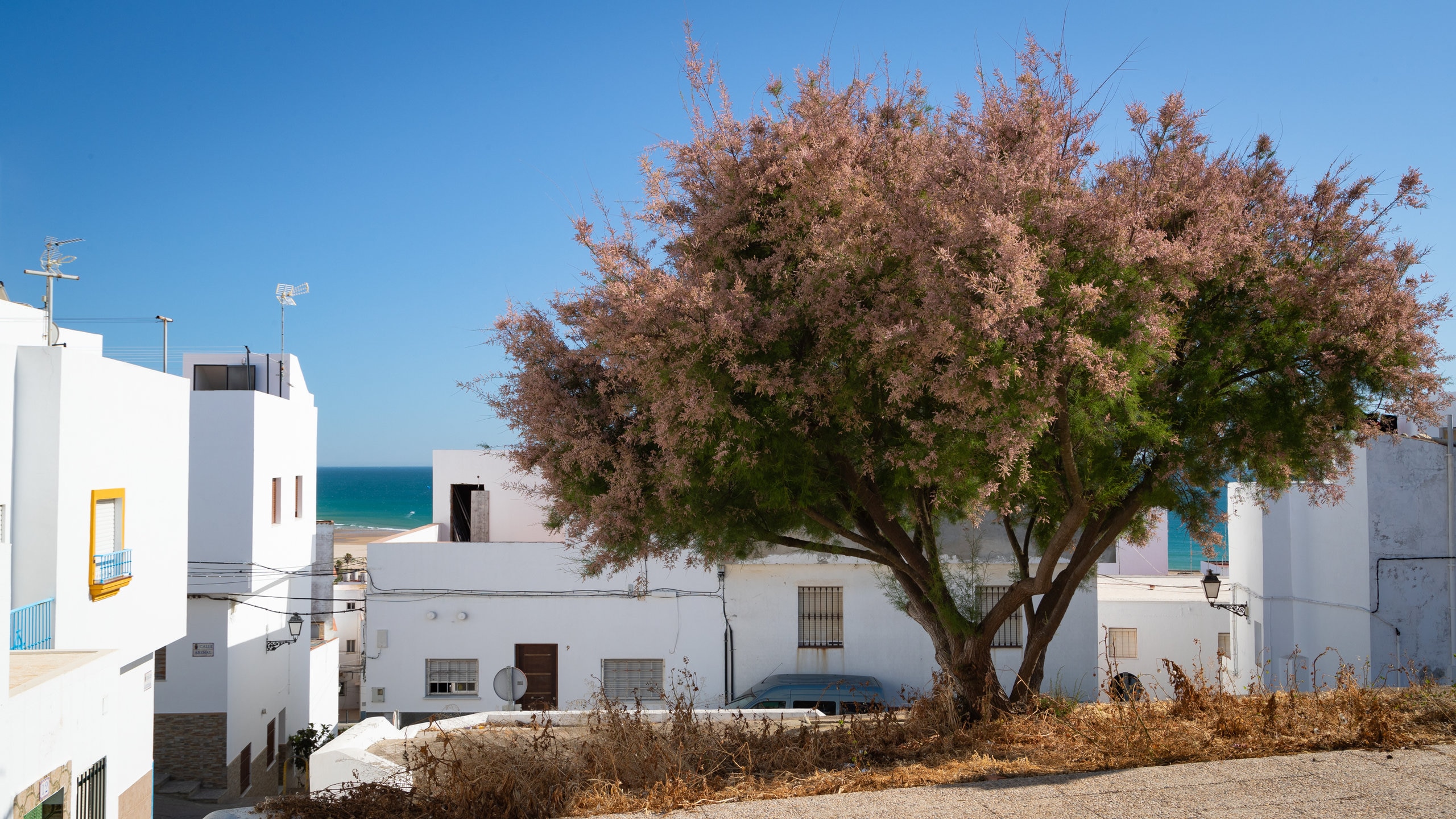 Beach and White Town, Conil De La Frontera. Editorial Stock Photo - Image  of building, blue: 63334888