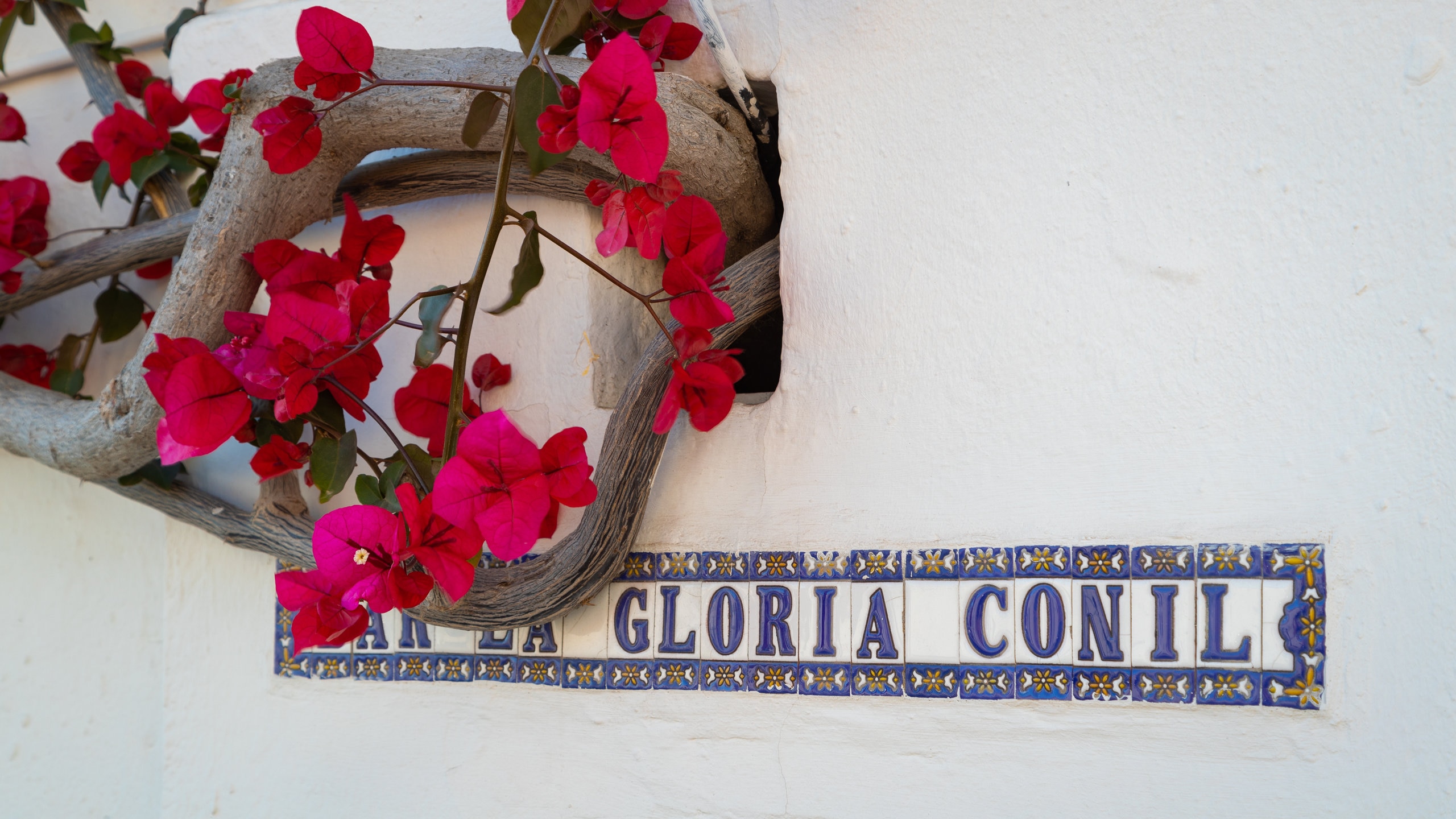 Visit Conil de la Frontera, Cádiz