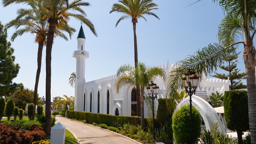 Moschea del Re Abdelaziz