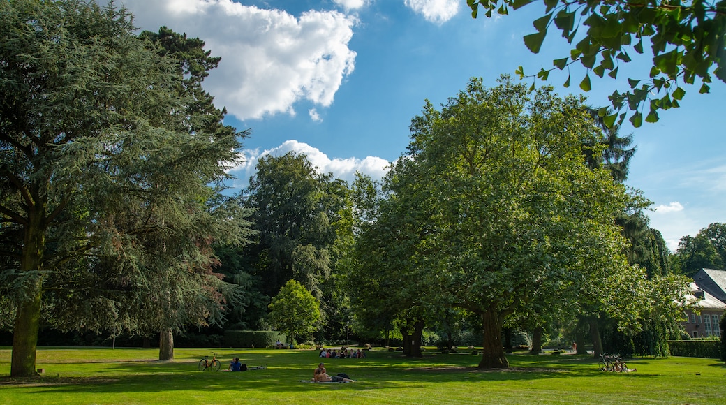 Münster Botanical Garden which includes a garden