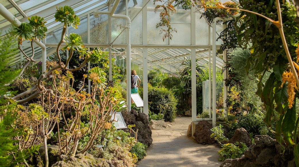 Jardin botanique Münster