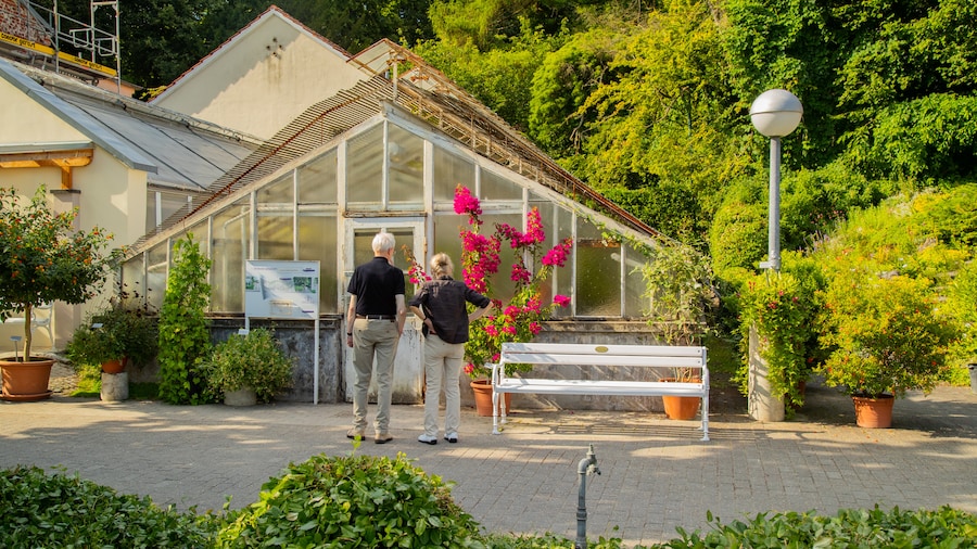 Münster Botanical Garden