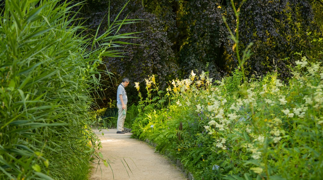 Giardino Botanico di Münster