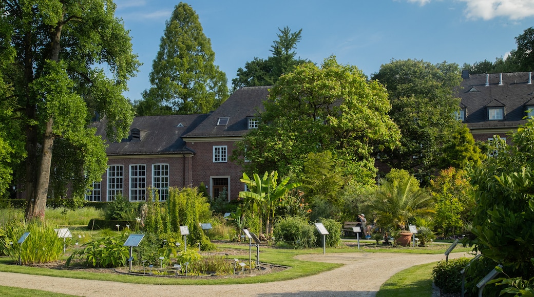 Münster Botanical Garden featuring a house and a garden