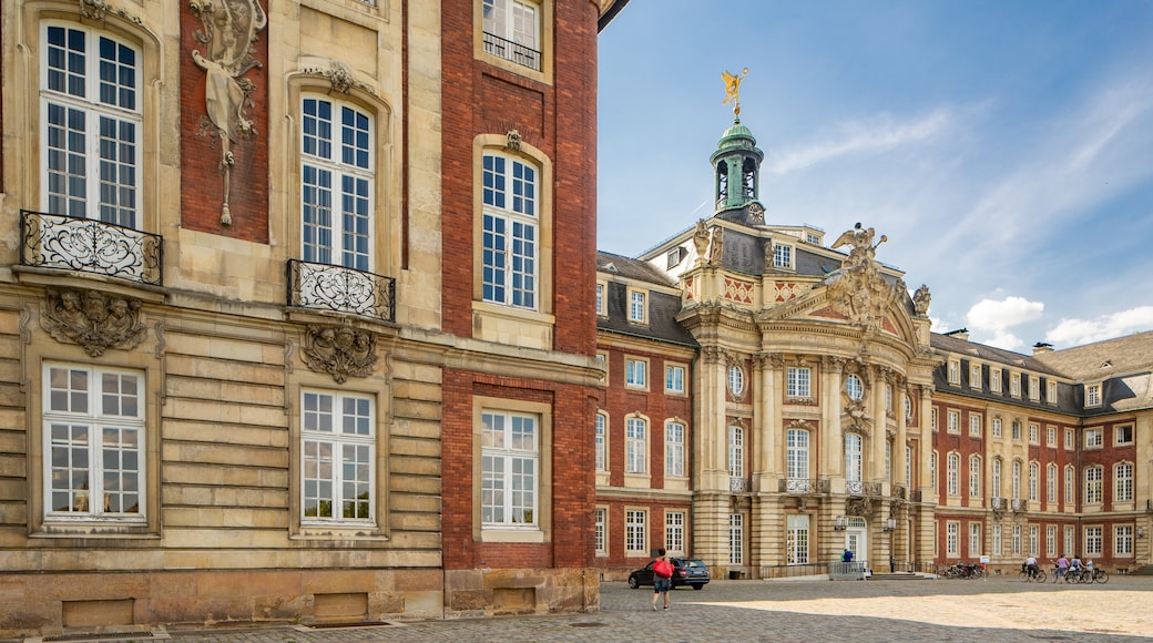 Münster Castle featuring chateau or palace and heritage architecture