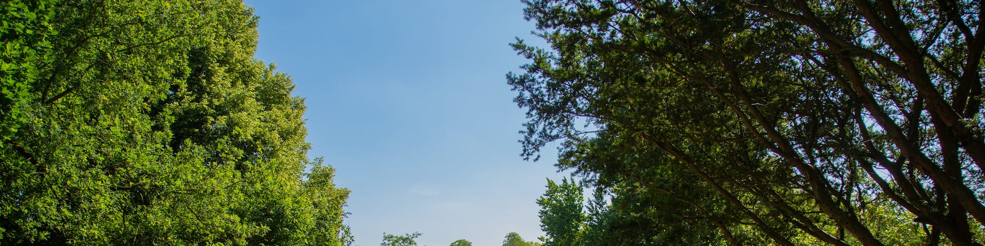 Westfalenpark Dortmund showing a park