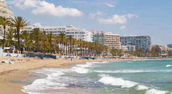 Marbella Seafront Promenade featuring a sandy beach, general coastal views and a coastal town