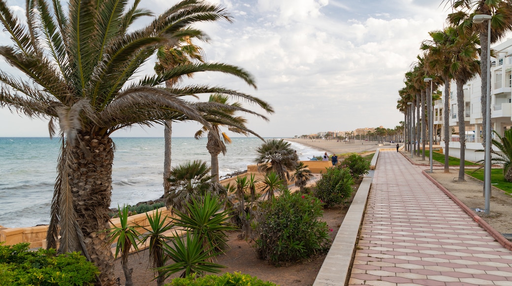 Roquetas de Mar showing general coastal views and a coastal town