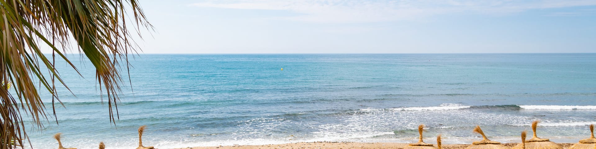 Venus Beach showing a beach, tropical scenes and general coastal views