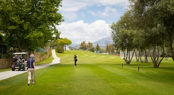 Real Club de Golf Guadalmina which includes golf as well as a small group of people