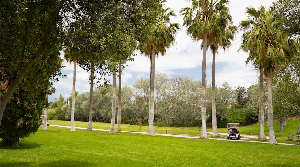 Real Club de Golf Guadalmina which includes golf