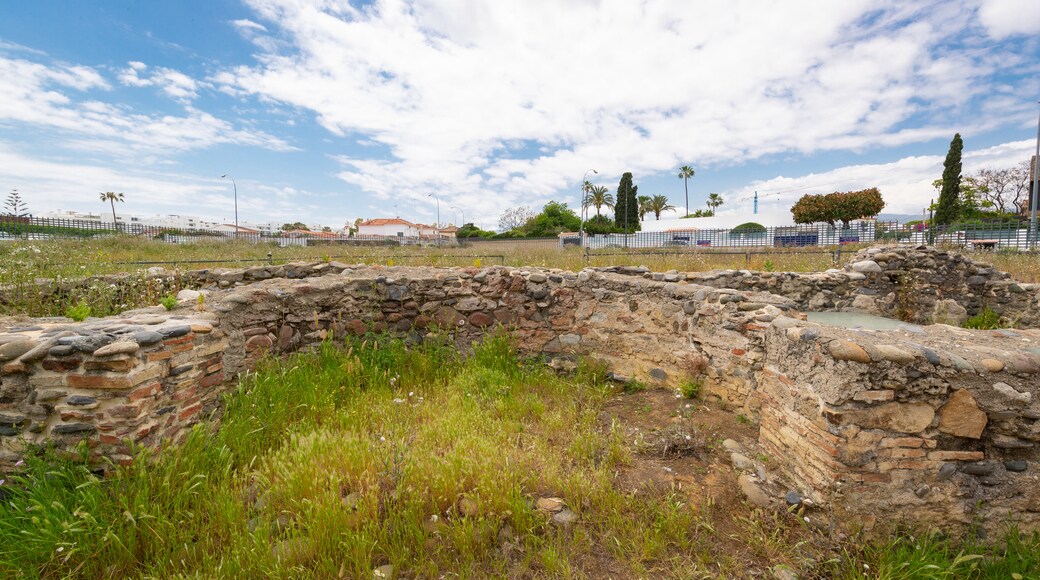 Basilica Vega Del Mar