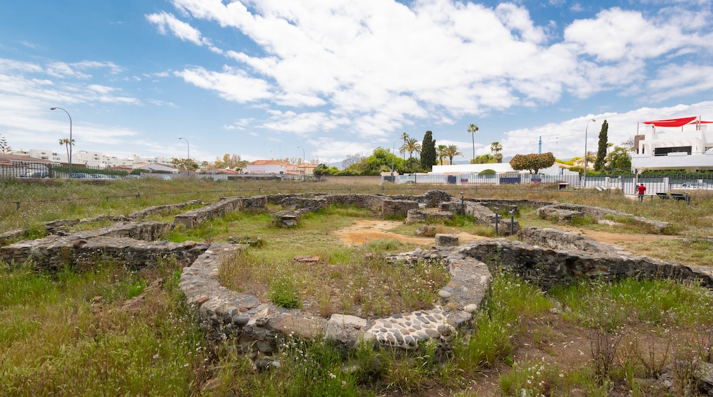 Basilica Vega Del Mar showing building ruins