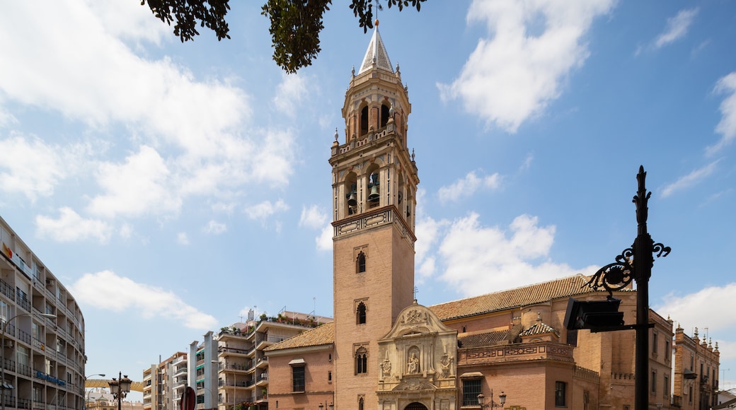 San Pedro Church featuring a church or cathedral and heritage architecture