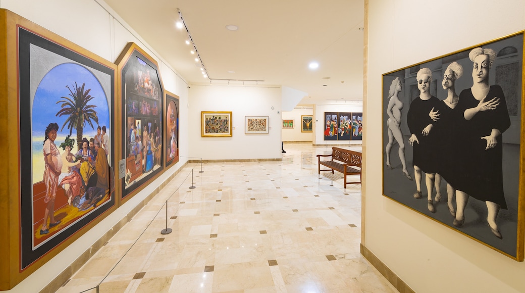 Ralli Museum featuring interior views and art