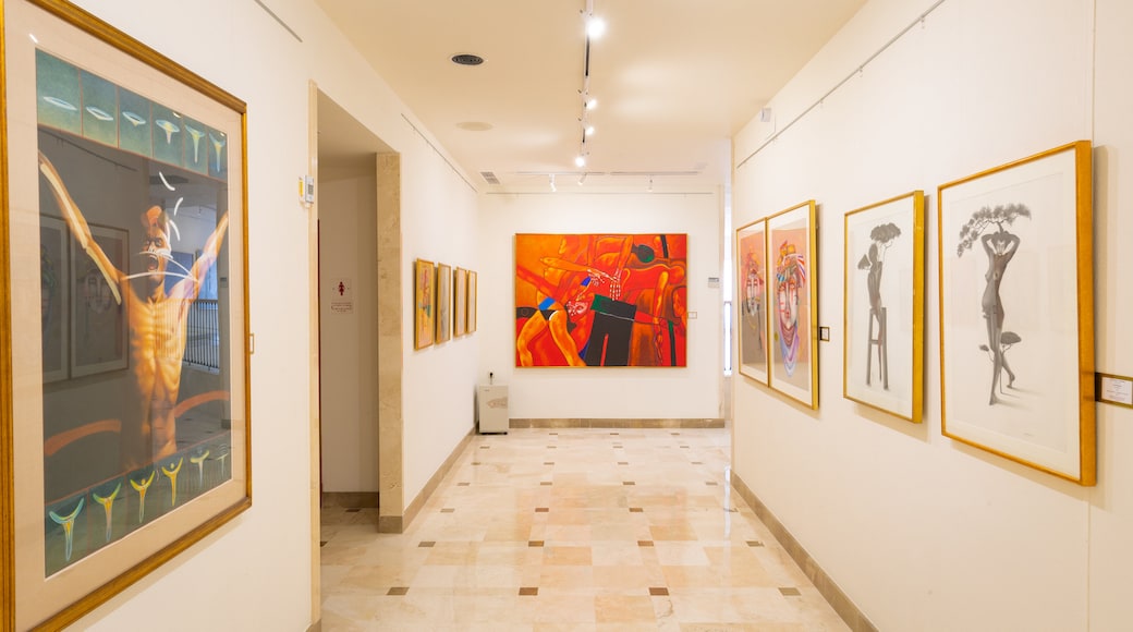 Museo Ralli