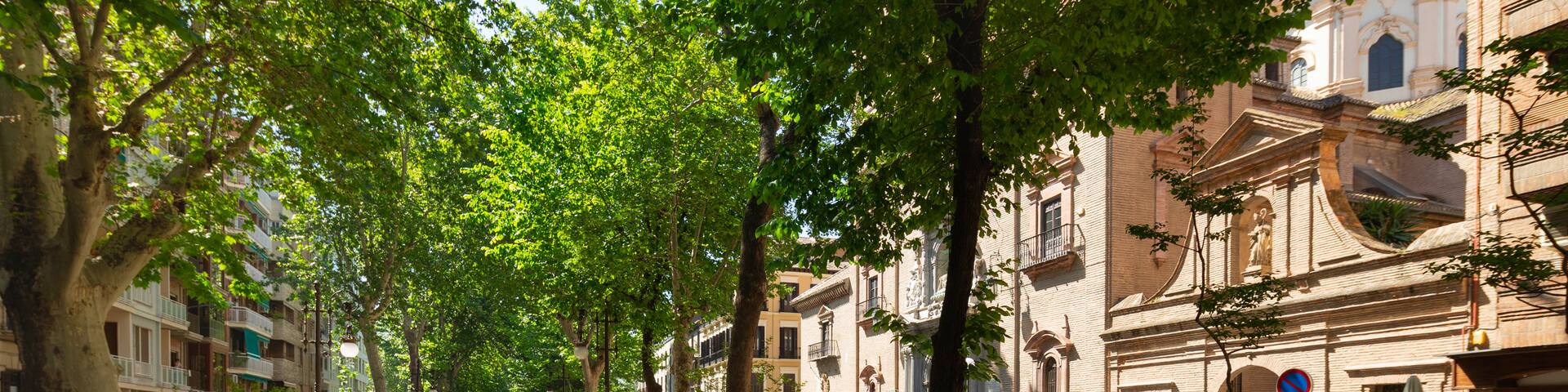 St Maarten and St Martin showing a garden