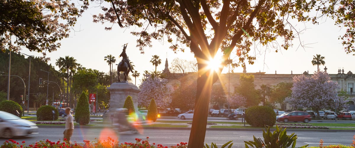 Cerro Del Águila showing a sunset, a garden and wildflowers