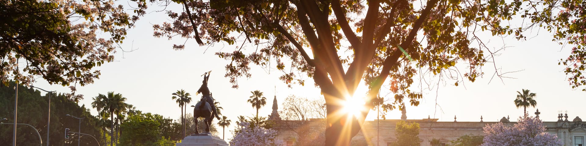 Cerro Del Águila showing a sunset, a garden and wildflowers
