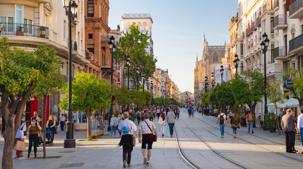 Plaza de Puerta Jerez featuring a city and street scenes as well as a large group of people