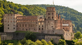 Heidelberg Castle which includes heritage architecture and landscape views