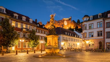 Altstadt which includes a square or plaza, a city and a fountain