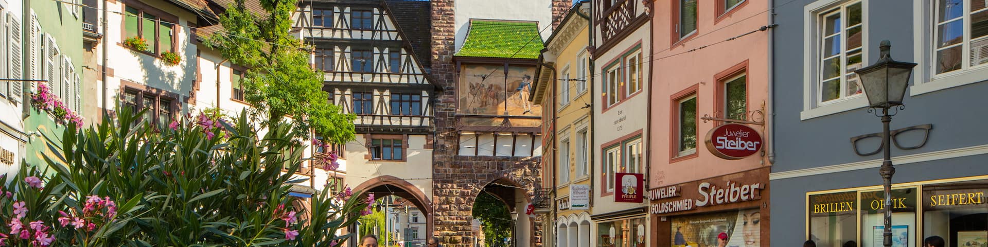 Schwabentor Gate showing wildflowers and heritage elements