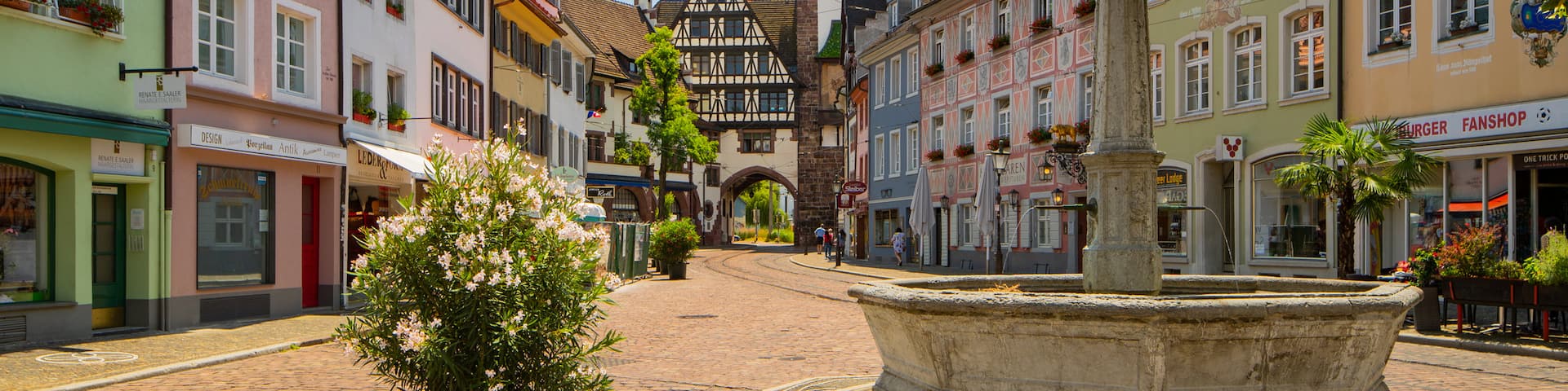 Schwabentor Gate showing a fountain, flowers and a city