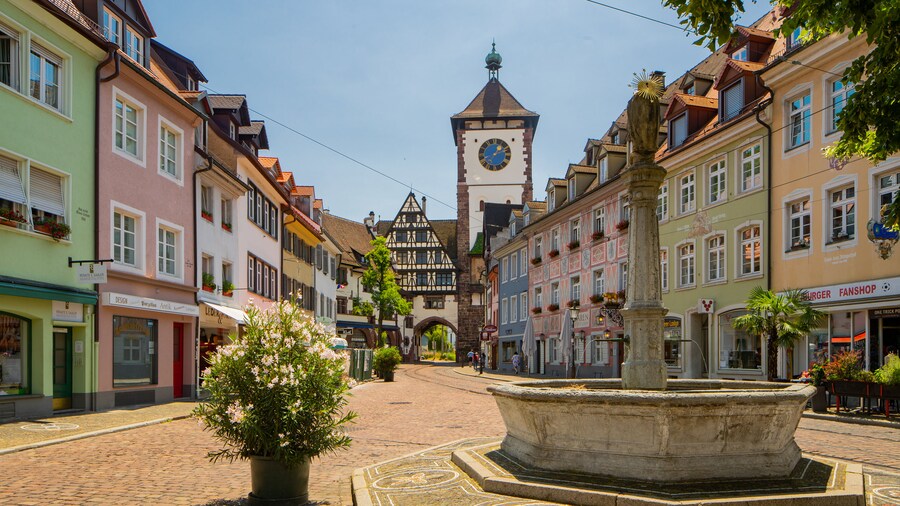 Puerta Schwabentor