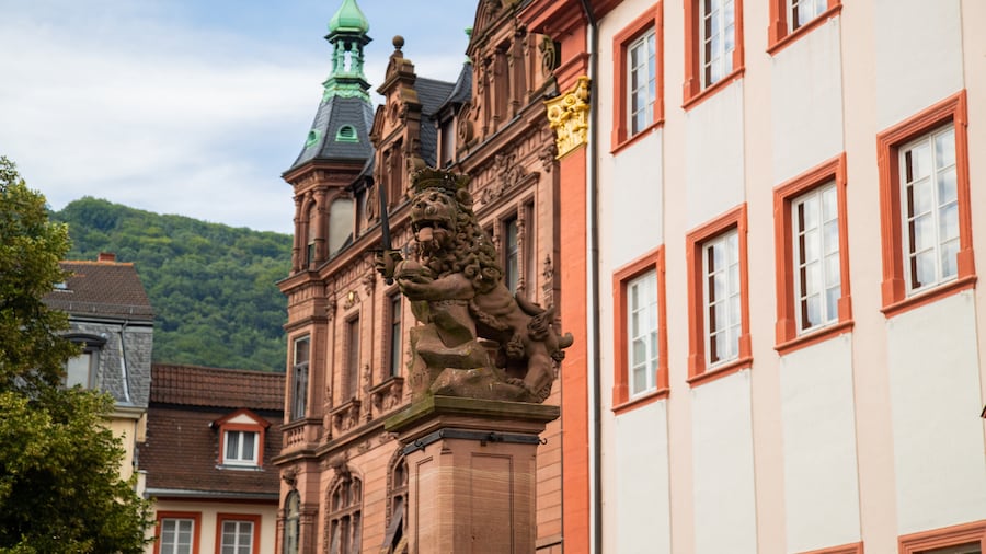 Universidad de Heidelberg (antiguo campus)
