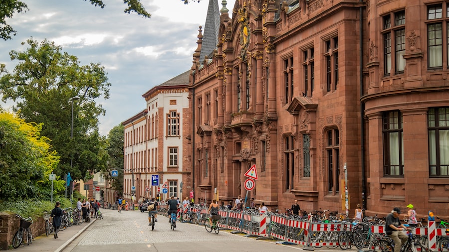 Biblioteca de la Universidad de Heidelberg