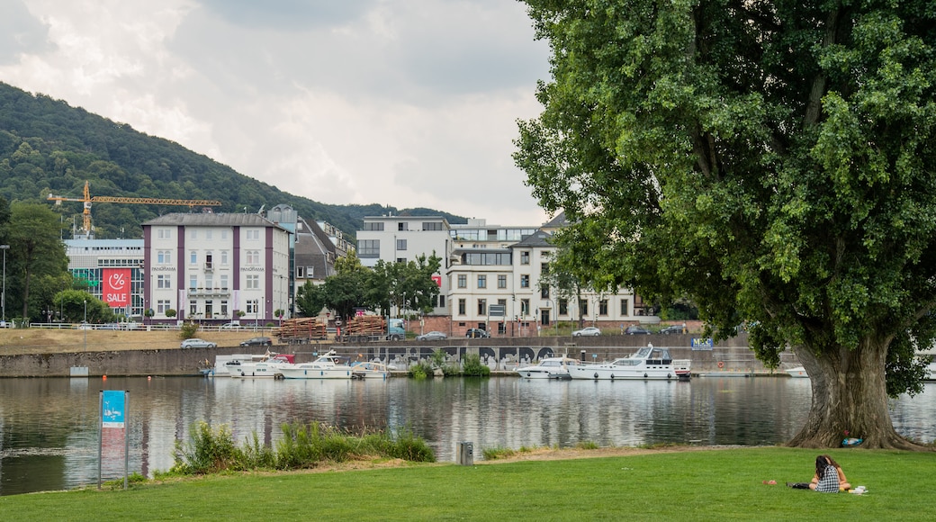 Neckarwiese showing picnicing, a garden and a bay or harbor