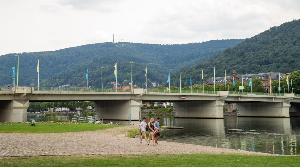 Neckarwiese featuring a river or creek, a bridge and a garden