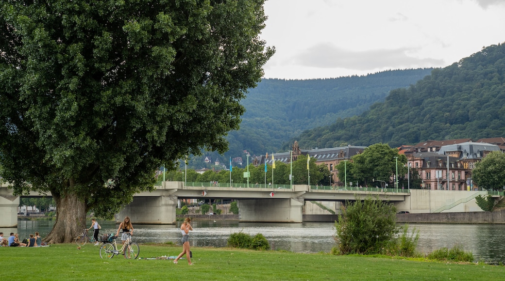 Lungofiume Neckarwiese