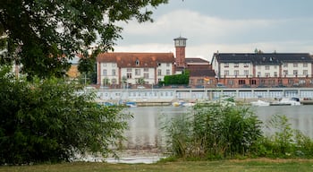 Neckarwiese showing a bay or harbor and a park