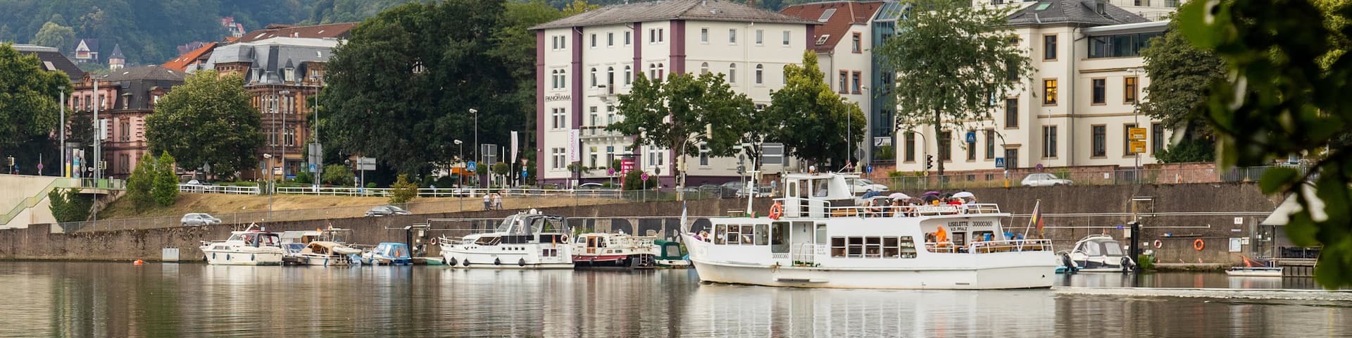 Neckarwiese which includes a bay or harbor